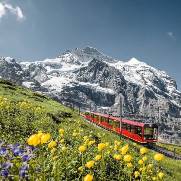 07 Stairway to Heaven